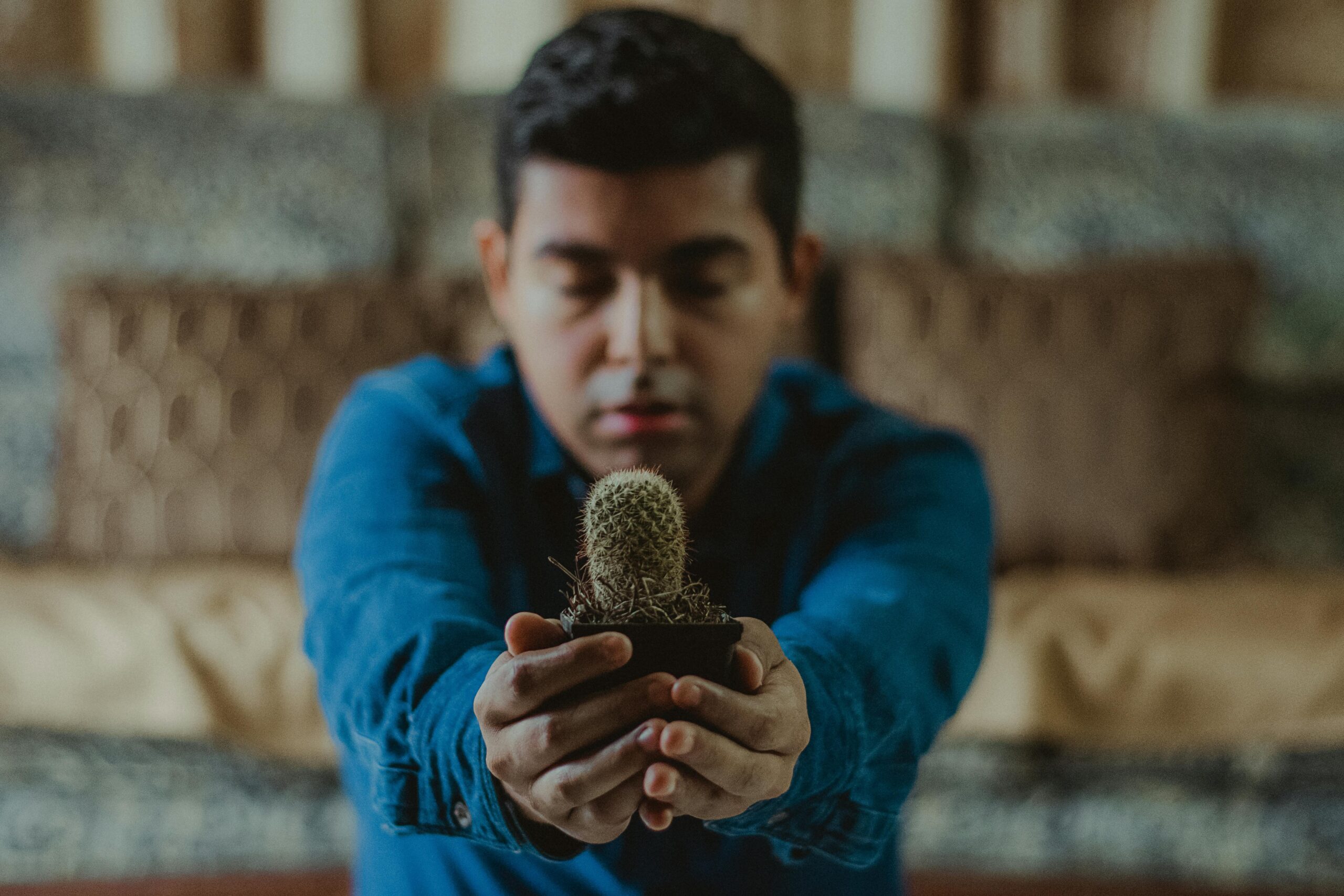 pexels-alancabello-1331558